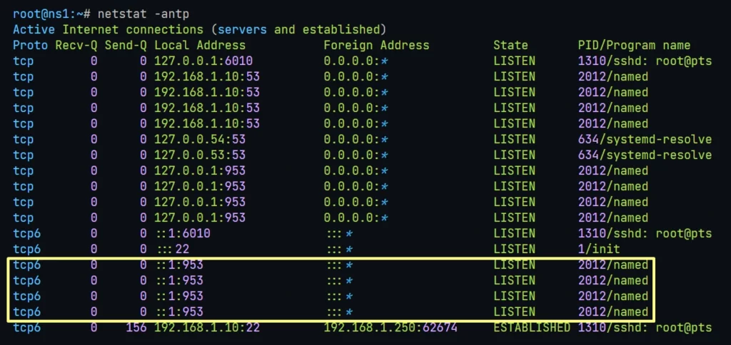 Bind DNS Listens on IPv6 and IPv4 Both IP