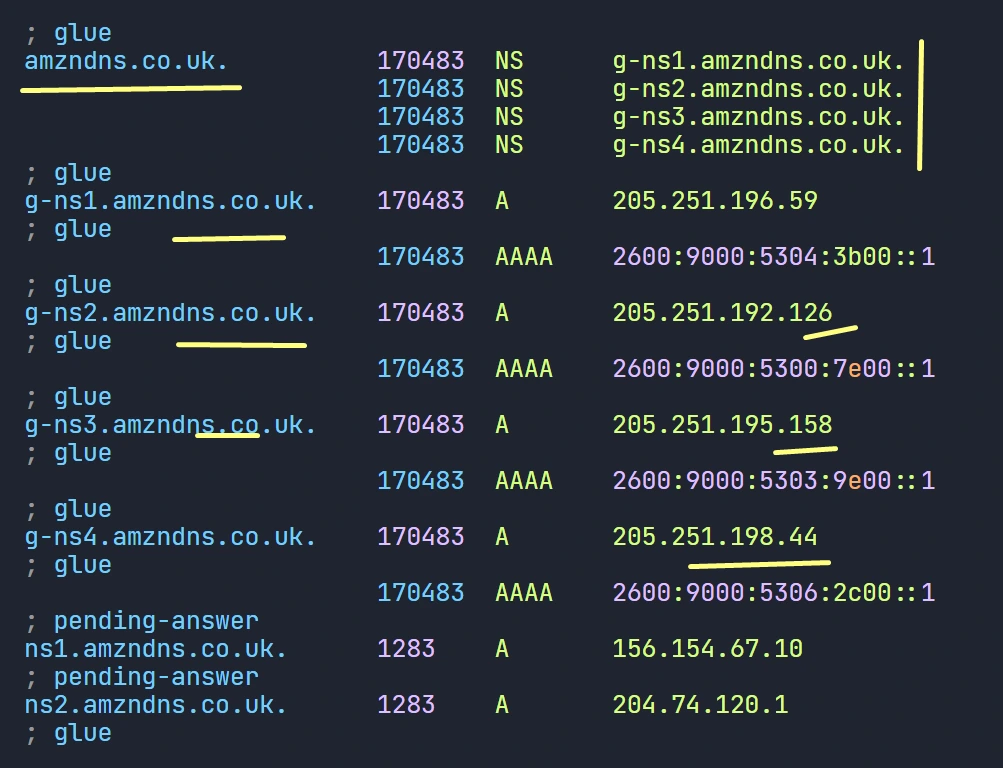 Linux DNS Server Configuration: Detailed Guide [2024]