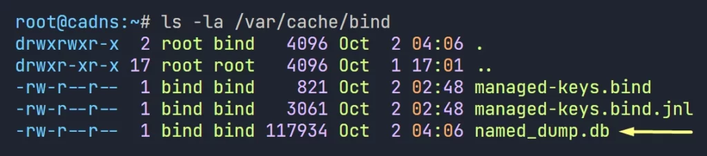 cache dump on the caching dns server