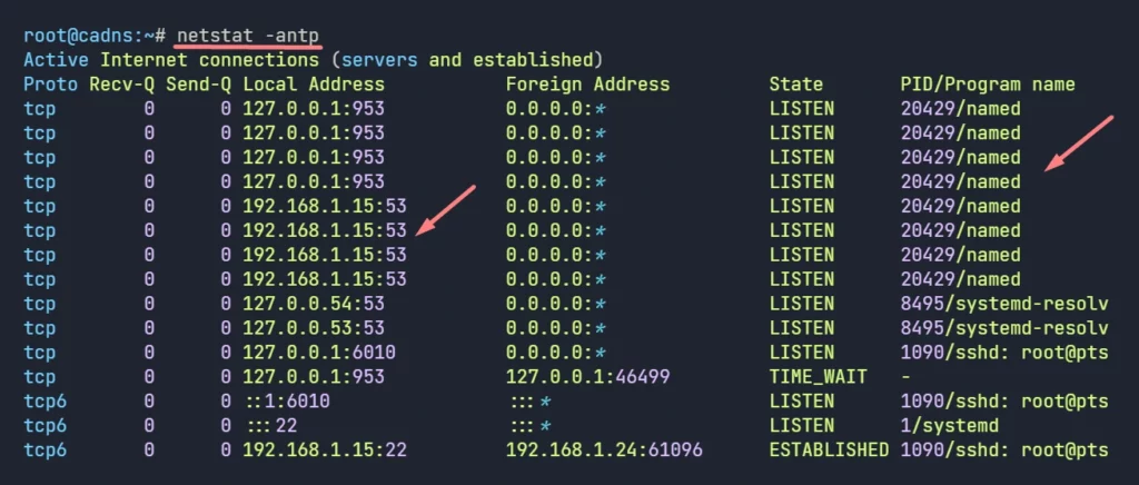 Linux DNS Server Configuration: Detailed Guide [2024]