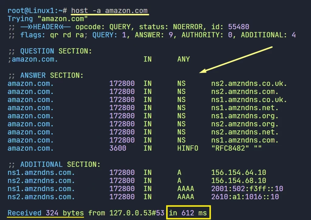 caching dns server test with the host command