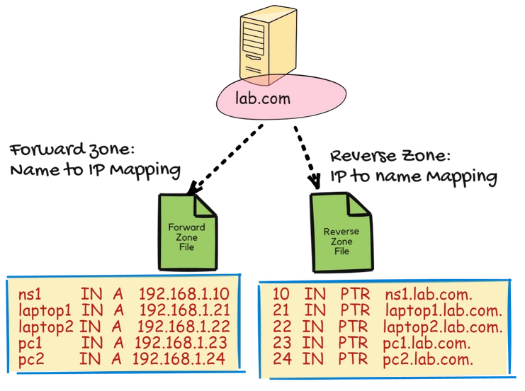 DNS Zones: Forward and Reverse Zone