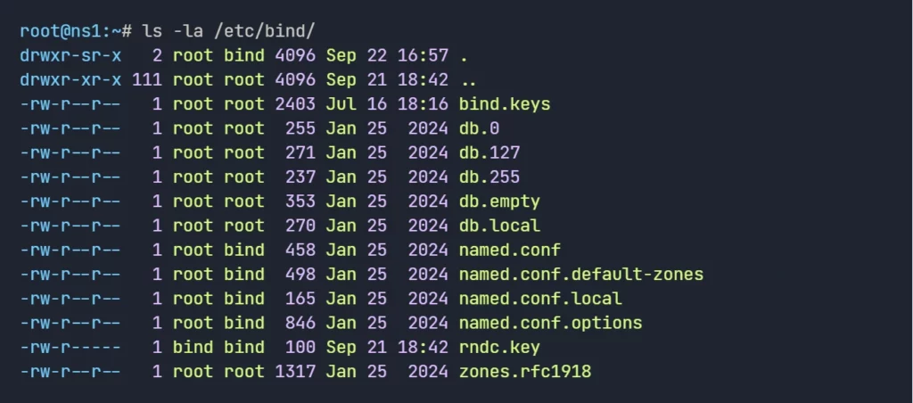 Bind9: DNS Server Configuration Files