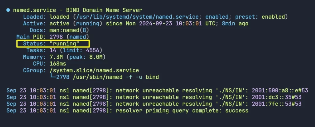 DNS Service is Running