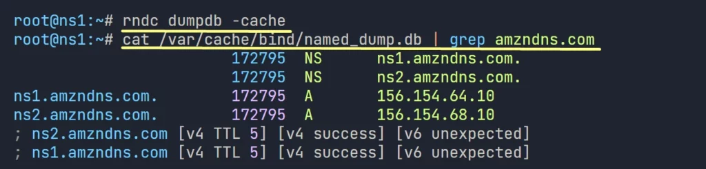 forwarder dns caching data