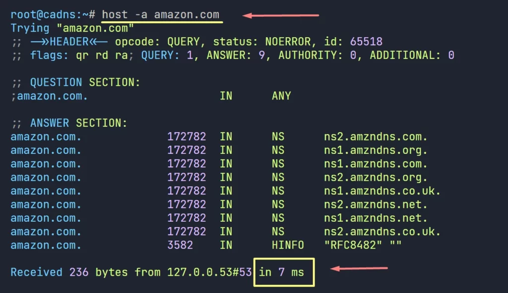 forwarding dns getting reply quickly from the forwarder dns