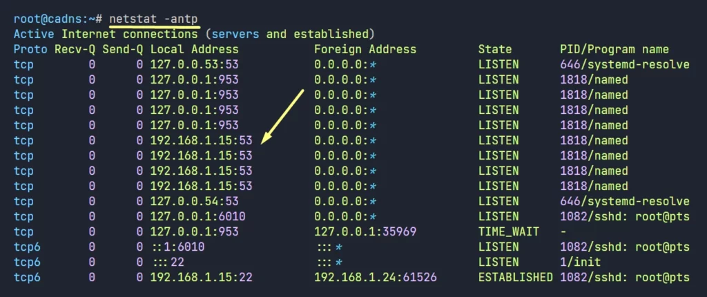 forwarding dns server is running