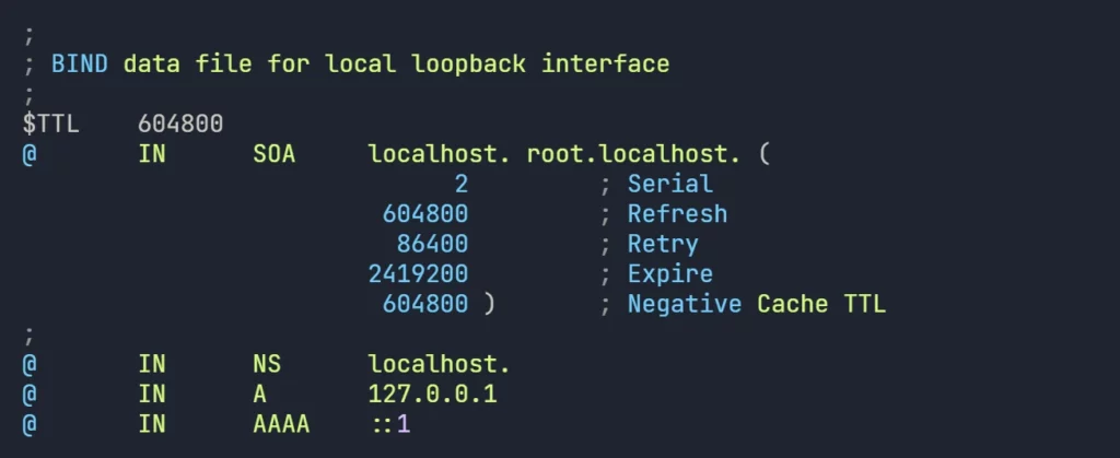 Zone File for Loopback Interface 